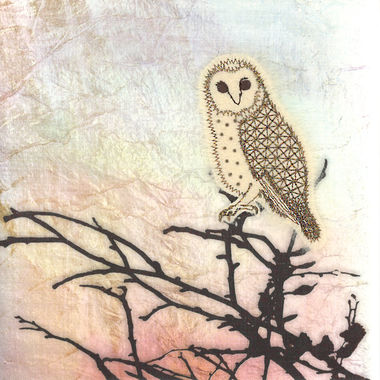 Photography of Shimmer Owl on a Branch