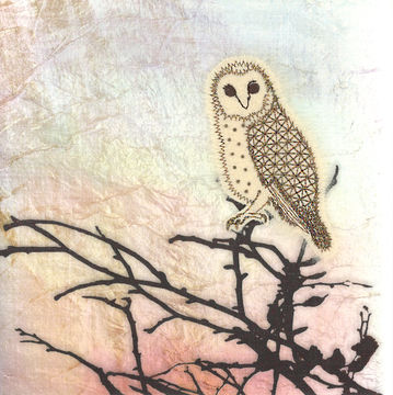 Shimmer Owl on a Branch