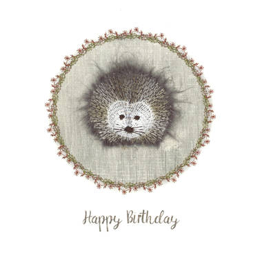 Photography of Fluffly Hedgehog