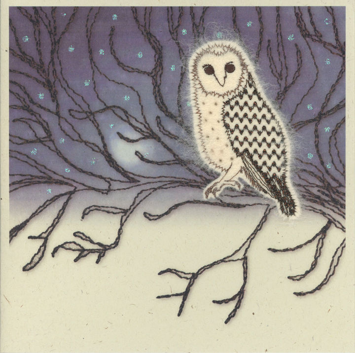 Barn Owl in the Night