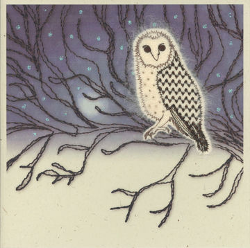 Barn Owl in the Night