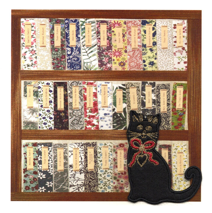 Black Cat with Bookcase