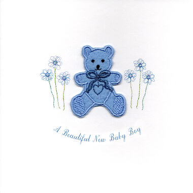 Photography of Pale Blue Teddy