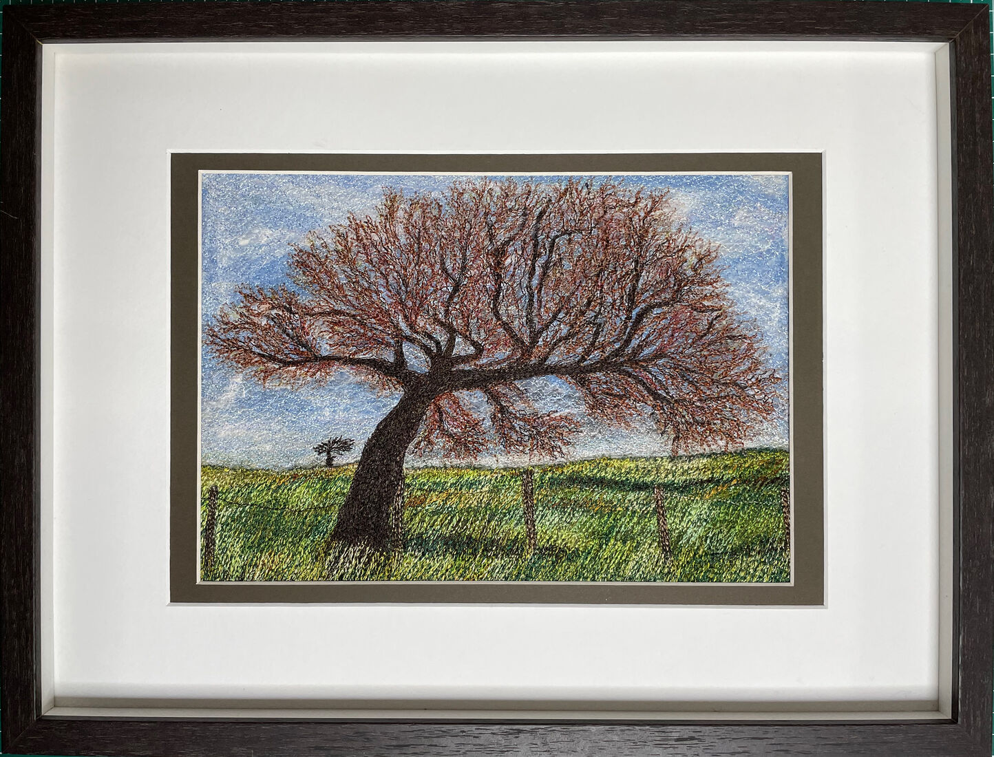 Photography of Windswept Oak Tree