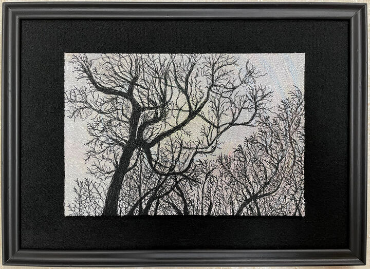 Trees at Dawn