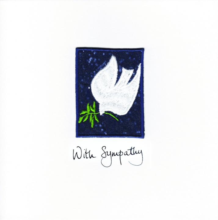 Dove in the Night Sky