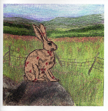 Hare at Guide