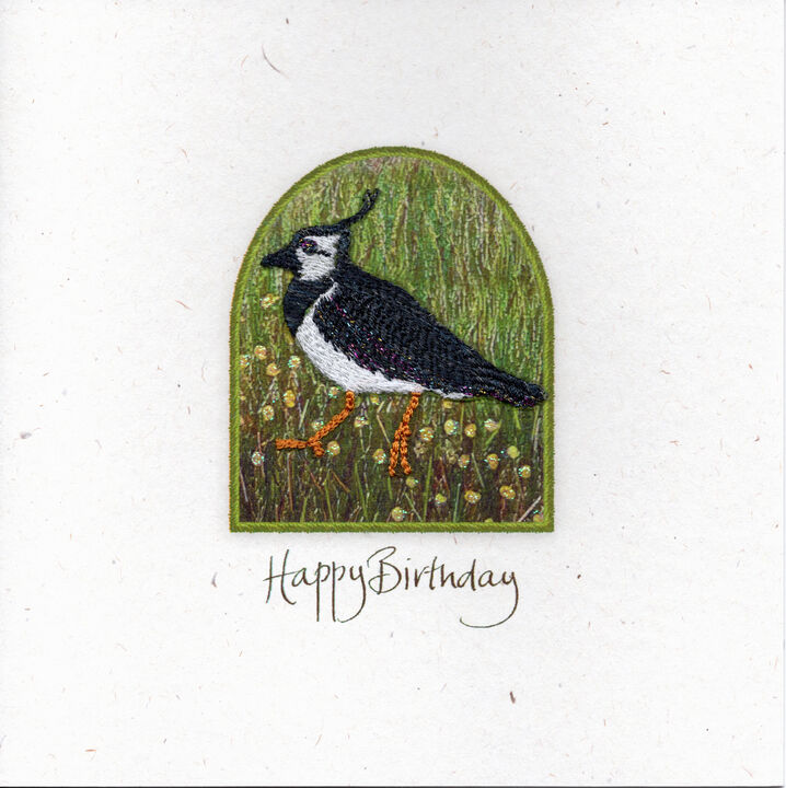 Lapwing