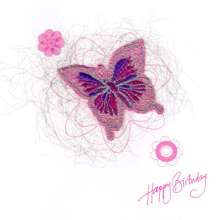 Butterfly