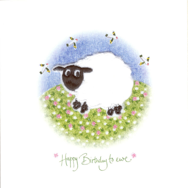 Sheep