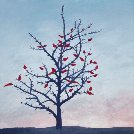 Christmas Opening Hours